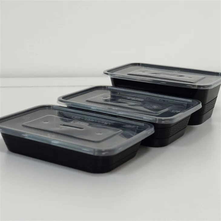 Crystal Clear Plastic Boxes - Showcase Your Dishes with Style (2)