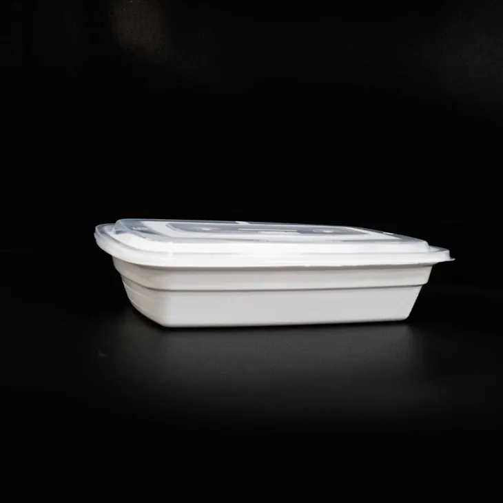 Durable Disposable Lunch Boxes - Designed for Repeated Use (6)
